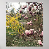 Ein Tag im Park Poster (Vorne)