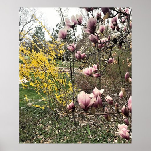 Ein Tag im Park Poster (Vorne)