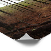 Ein Tag im Wald Poster (Ecke)