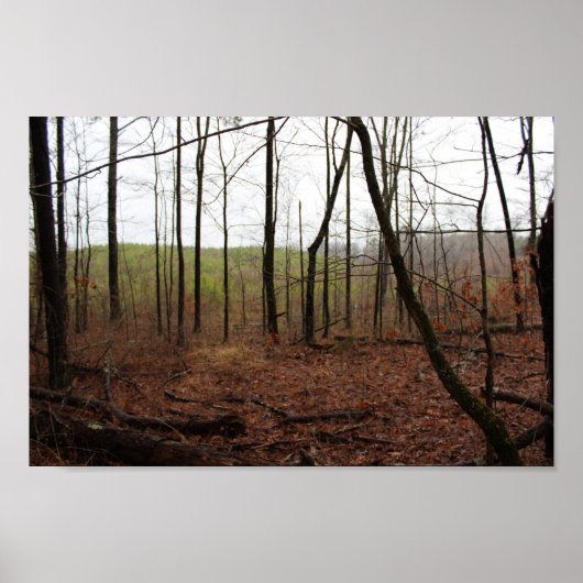 Ein Tag im Wald Poster (Vorne)
