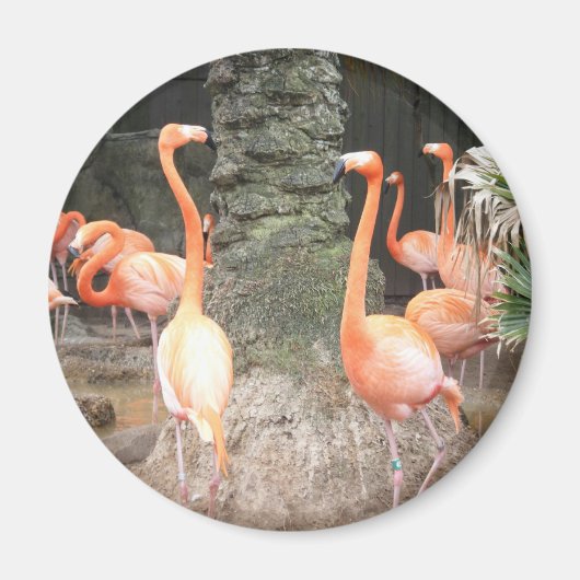 Ein Tag im Zoo Magnet (Vorne)
