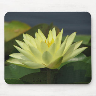 Ein Tag in der Pond-Serie Mousepad