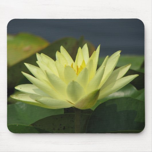 Ein Tag in der Pond-Serie Mousepad (Vorne)