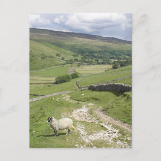 Ein Tag in der Sammlung Yorkshire Dales Postkarte