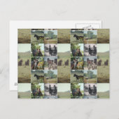 Ein Tag in Kalona, Iowa Postkarte (Vorne/Hinten)