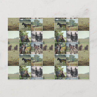 Ein Tag in Kalona, Iowa Postkarte