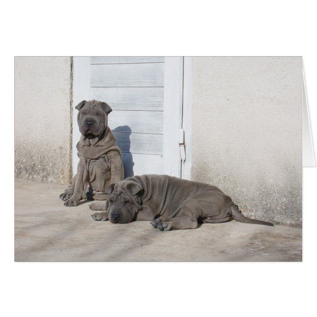 Ein Tag nach dem anderen... (Vorderseite (Horizontal))