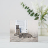 Ein Tag nach dem anderen... Postkarte (Stehend Vorderseite)