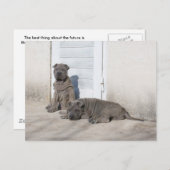 Ein Tag nach dem anderen... Postkarte (Vorne/Hinten)