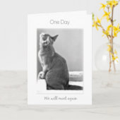 "Ein Tag treffen wir wieder" Katzen-Beileid Karte (Gelbe Blume)