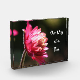 Ein Tag zu einem Zeitpunkt Blume bei Sonnenlicht Fotoblock
