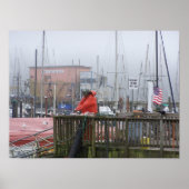 Ein Tagesfang Poster (Vorne)