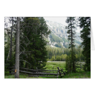 Ein Tal in Yellowstone Nationalpark