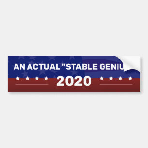 Ein TATSÄCHLICHER "STABILES GENIE" Wahlkampf Autoaufkleber