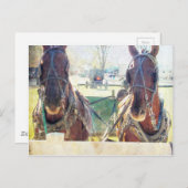 Ein Team mit zwei Pferden Postkarte (Vorne/Hinten)