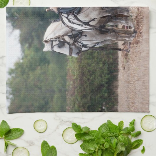 Ein Team von Percheron Geschirrtuch (Gefaltet)