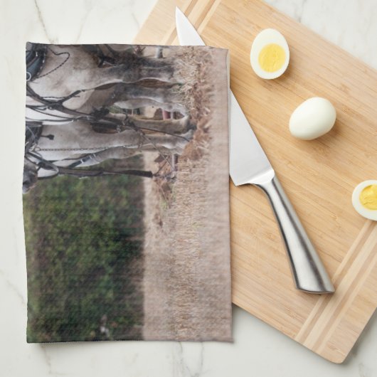 Ein Team von Percheron Geschirrtuch (Viertel Falte)