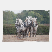 Ein Team von Percheron