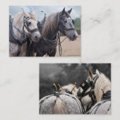 Ein Team von Percheron Mitteilungskarte (Vorne/Hinten)