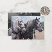 Ein Team von Percheron Mitteilungskarte (Vorderseite/Rückseite Beispiel)