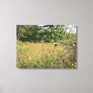 Ein Teich in der Holzfotografie der Wall Art Leinwanddruck