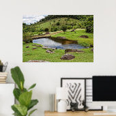 Ein Teich mit einer kleinen Holzbank Poster (Heimbüro)