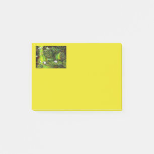 Ein Teich mit unreinen Gedanken Post-it Klebezettel