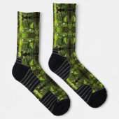 Ein Teich mit unreinen Gedanken Socken (Rechts)