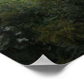 Ein Teich Poster (Ecke)