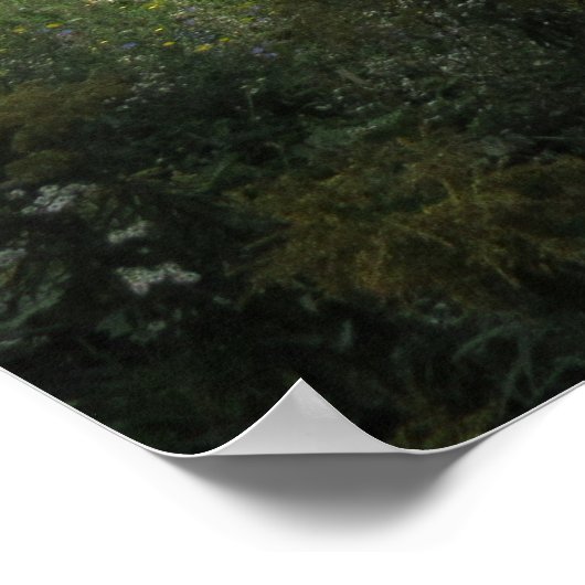 Ein Teich Poster (Ecke)