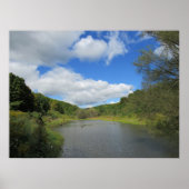 Ein Teich Poster (Vorne)