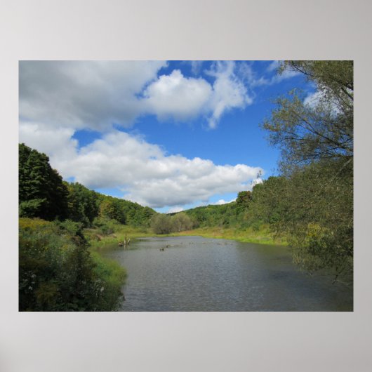 Ein Teich Poster (Vorne)