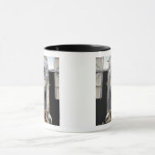 Ein Teil des Hubble-Weltraumteleskops Tasse (Zentrum)