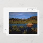 "Ein Teton-Sommer" Postkarte (Vorne/Hinten)