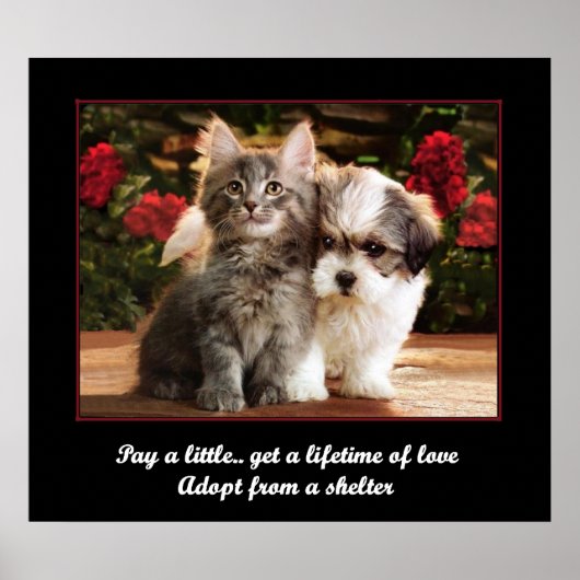 Ein Tier adoptiert Poster (Vorne)