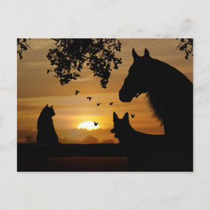 Ein Tier Lover hat eine reizvolle Postkarte