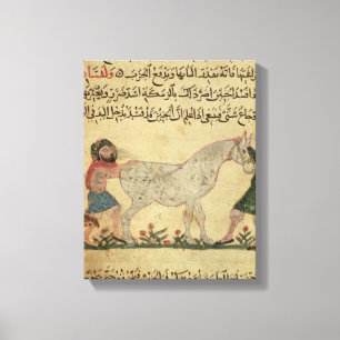 Ein Tierarzt, welche einer Stute hilft, zu Leinwanddruck