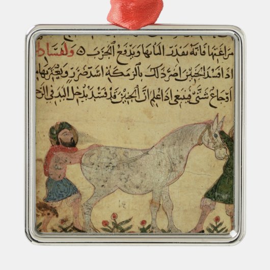 Ein Tierarzt, welche einer Stute hilft, zu Ornament Aus Metall (Vorne)