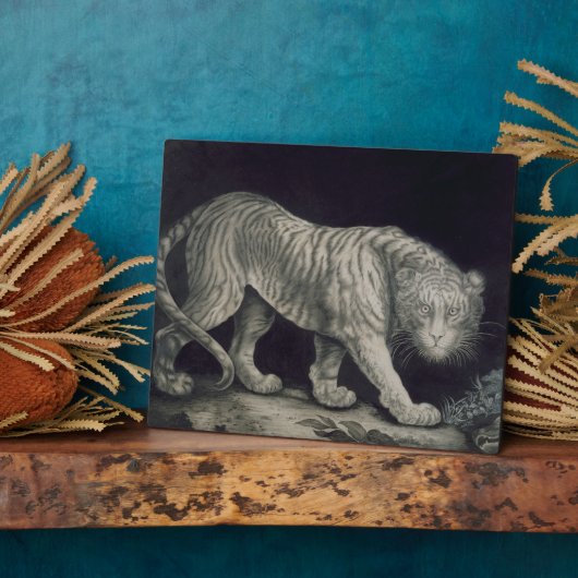 Ein Tiger (Bleistift auf Papier) Fotoplatte (Seite)