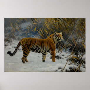 Ein Tiger, der im Schnee schleicht von Hugo Ungewi Poster