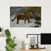Ein Tiger, der im Schnee von Hugo Ungewitter prowl Poster (Heimbüro)