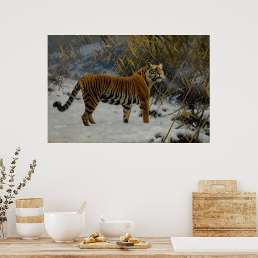 Ein Tiger, der im Schnee von Hugo Ungewitter prowl Poster (Küche)