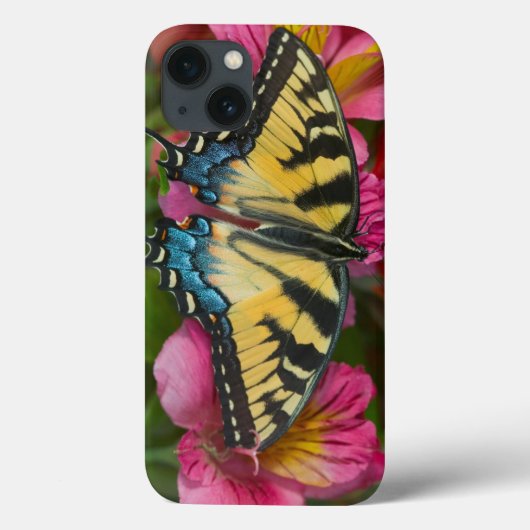 Ein Tiger-Frack-Schmetterling Case-Mate iPhone Hülle (Rückseite)