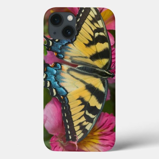 Ein Tiger-Frack-Schmetterling Case-Mate iPhone Hülle (Rückseite)