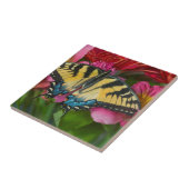 Ein Tiger-Frack-Schmetterling Fliese (Seite)