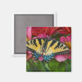 Ein Tiger-Frack-Schmetterling Magnet (Vorderseite/Rückseite)