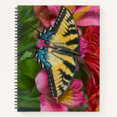 Ein Tiger-Frack-Schmetterling Notizblock (Vorderseite)