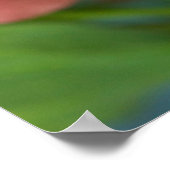 Ein Tiger-Frack-Schmetterling Poster (Ecke)