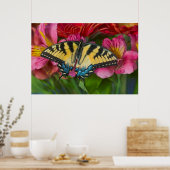 Ein Tiger-Frack-Schmetterling Poster (Küche)