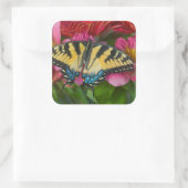 Ein Tiger-Frack-Schmetterling Quadratischer Aufkleber (Tasche)